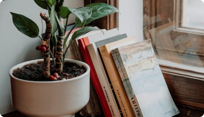 Books on a Desk